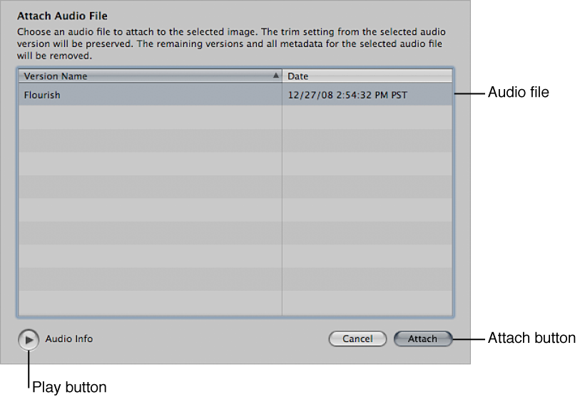 Figure. Controls in the Attach Audio File dialog.