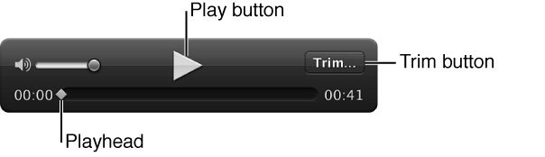 Figure. Audio clip controls in the Viewer.