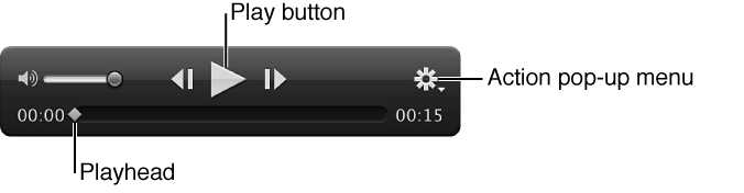 Figure. Video clip controls in the Viewer.