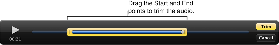 Figure. Start and End points for an audio clip in the Viewer.