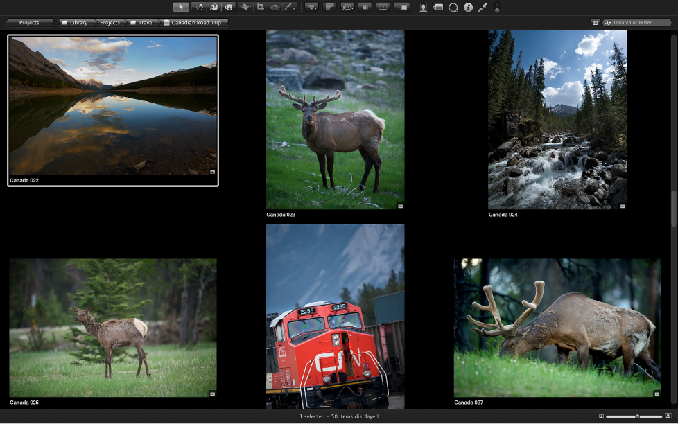 Figure. Controls in Full Screen view Browser mode.