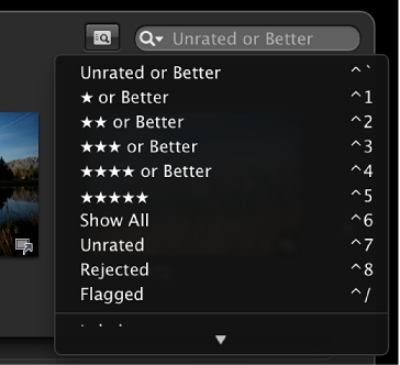 Figure. Full Screen view search field pop-up menu.