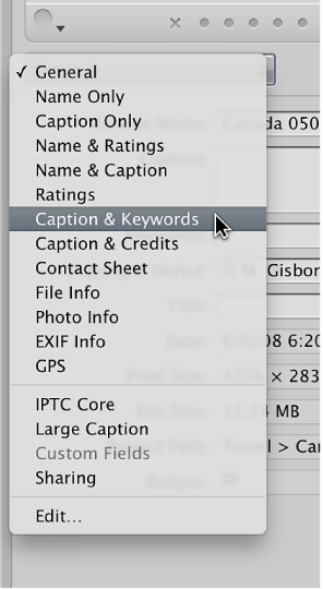 Figure. Options in the Metadata View pop-up menu in the Metadata inspector.