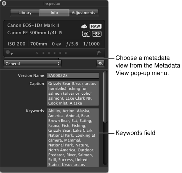 Figure. Metadata pane of the Inspector HUD showing options in the Metadata View pop-up menu.
