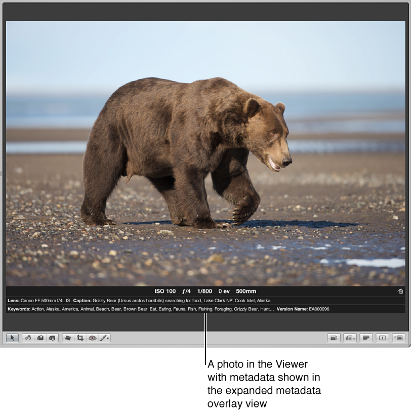 Figure. Viewer showing an image with metadata in the expanded metadata overlay view.