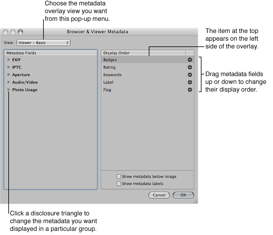 Figure. Browser & Viewer Metadata dialog.