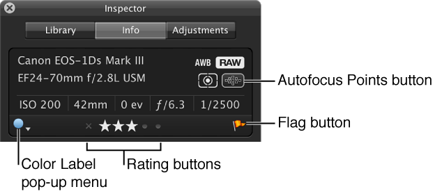 Figure. Controls in the Camera Info pane.