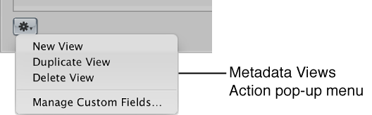 Figure. Metadata Views Action pop-up menu.