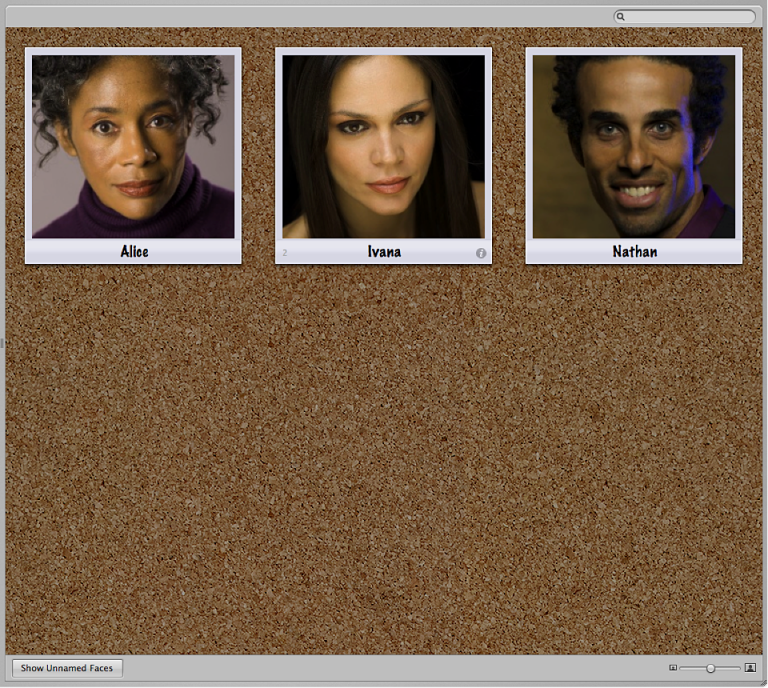 Figure. Snapshots of faces in Faces view.