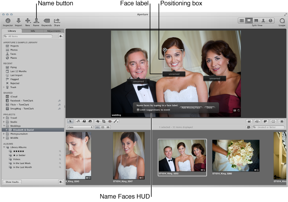 Figure. Viewer showing a name being assigned to a face in the image.