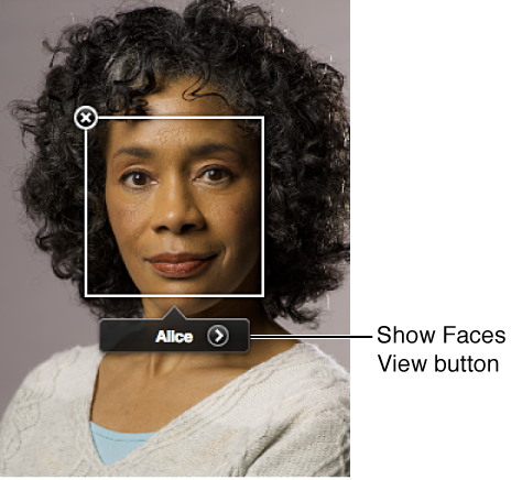 Figure. Show Faces View button in a face label.