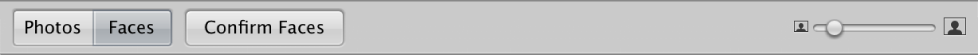 Figure. Photos button, Faces button, and Thumbnail Resize slider in the Faces browser.