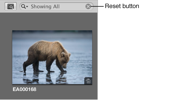 Figure. Reset button to the right of the search field pop-up menu.