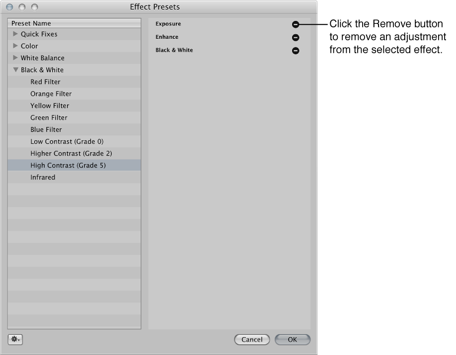 Figure. Effect Presets dialog showing a selected effect and Remove buttons next to the adjustments in the effect.