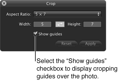 Figure. "Show guides" checkbox in the Crop HUD.