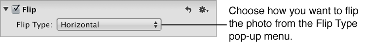 Figure. Flip Type pop-up menu in the Flip area of the Adjustments inspector.