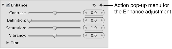 Figure. Action pop-up menu in the Enhance area of the Adjustments inspector.