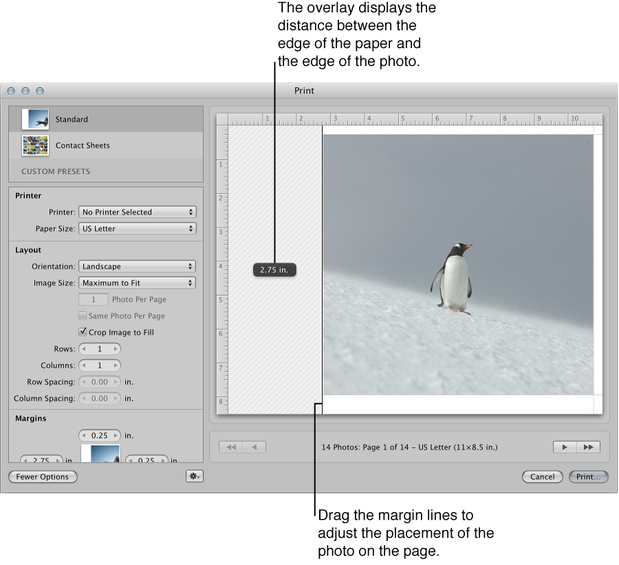 Figure. Dragging margins to resize the image in the Preview area of the Print dialog.