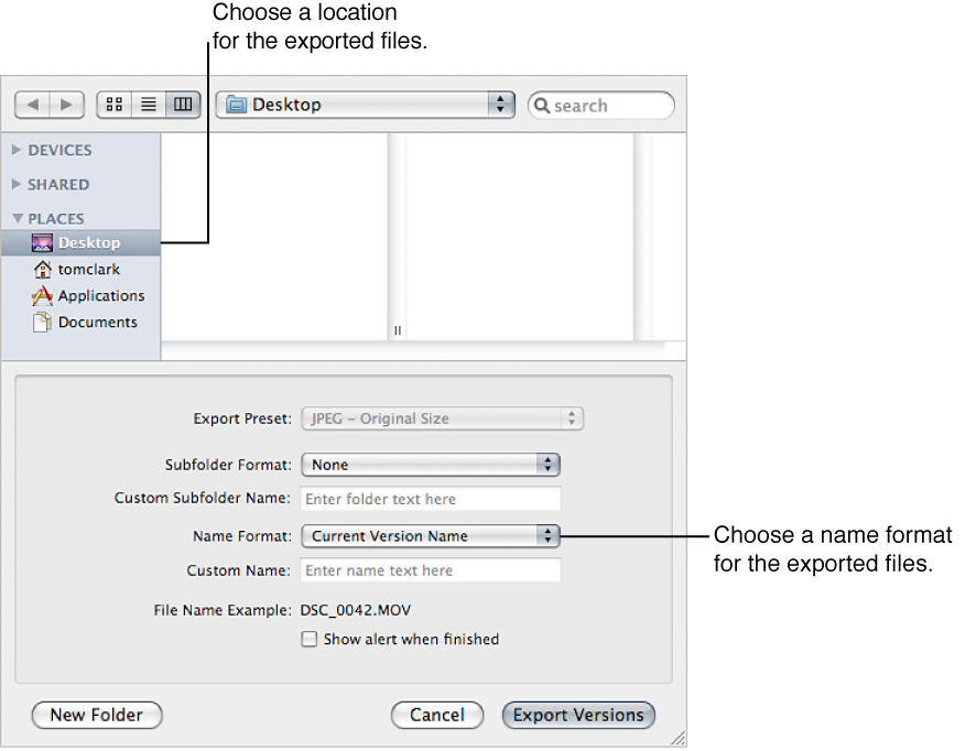 Figure. Controls in the Export dialog.