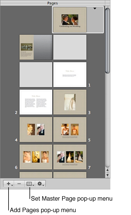 Figure. Controls in the Pages pane of the Book Layout Editor.