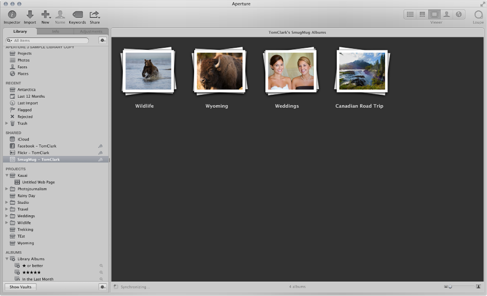 Figure. Flickr and Facebook albums in the Library inspector.