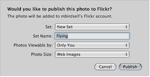 Figure. Dialog for creating and publishing a Flickr album.