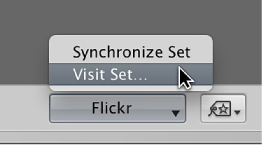 Figure. Flickr pop-up menu in the tool strip.
