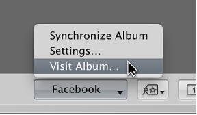 Figure. Facebook pop-up menu in the tool strip.