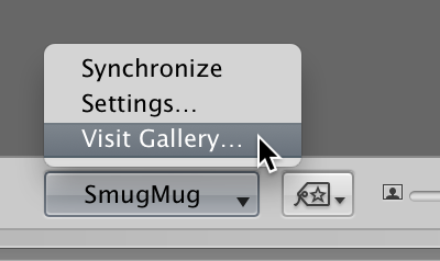 Figure. Facebook pop-up menu in the tool strip.