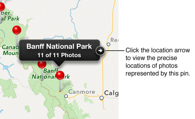 Figure. Location arrow on a pin's location label.