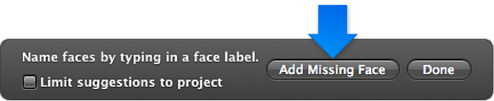 Figure. Controls in the Name Faces HUD.