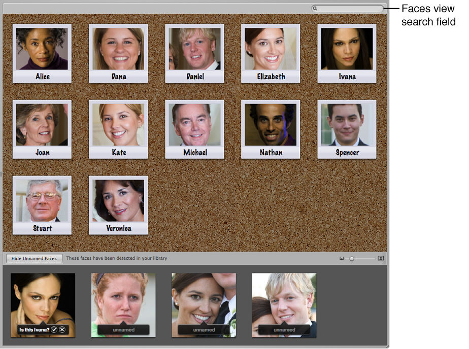 Figure. Search field in Faces view.
