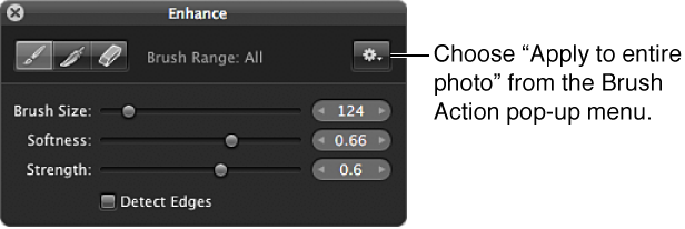 Figure. Brush Action pop-up menu in the Brush HUD for the Enhance adjustment.