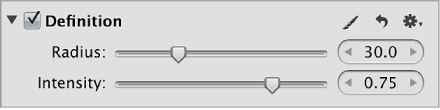 Figure. Controls in the Definition area of the Adjustments inspector.