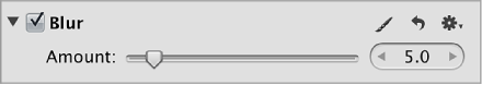 Figure. Controls in the Blur area of the Adjustments inspector.