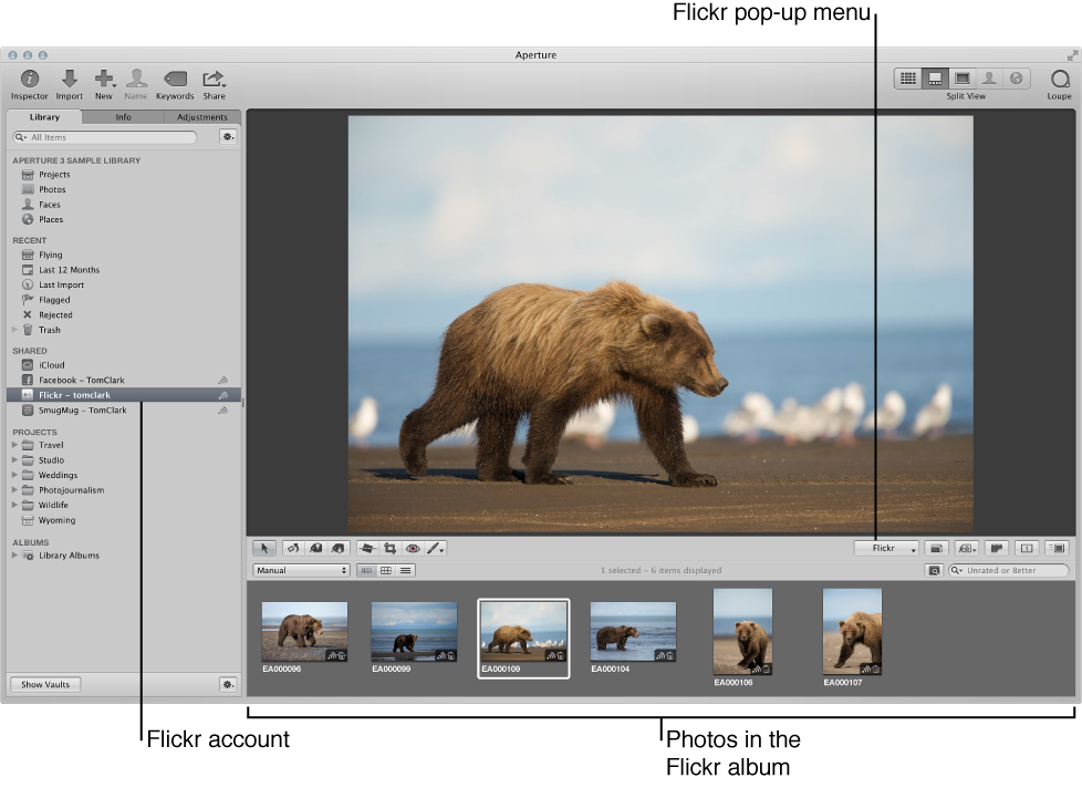 Aperture main window showing a Flickr account selected in the Library inspector and the Viewer and Browser displaying the account's images