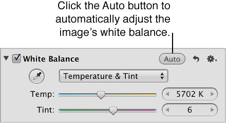 Auto White Balance button