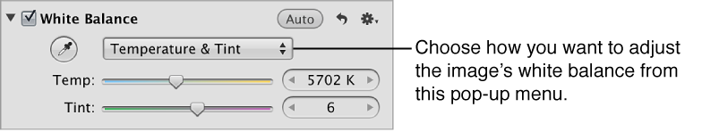 White Balance pop-up menu