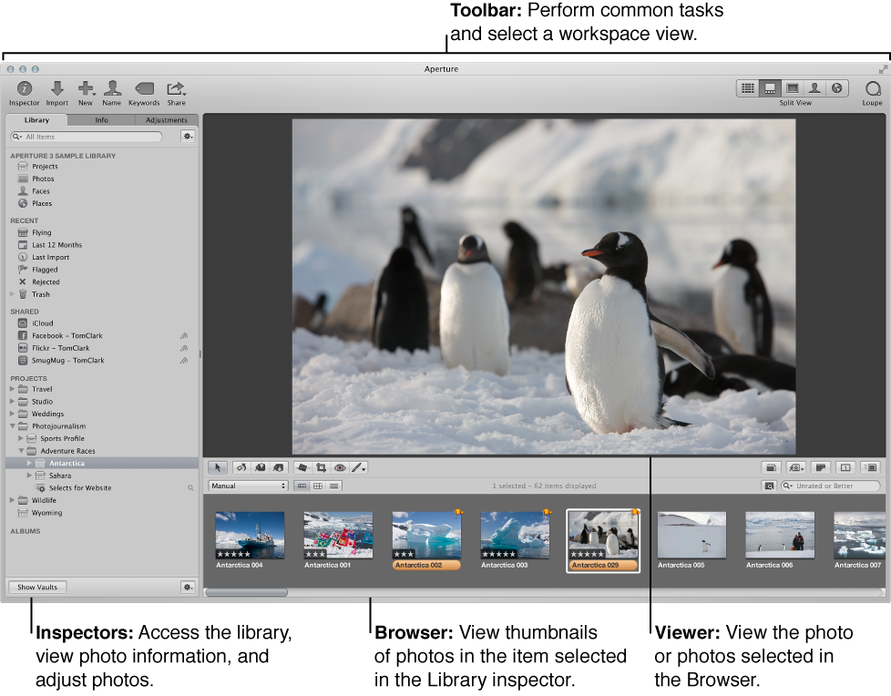Aperture main window