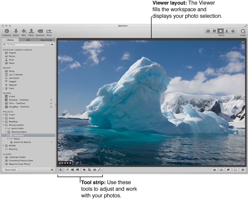 Apeture main window in Viewer Only mode.