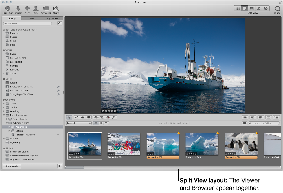 Aperture workspace set to Split View