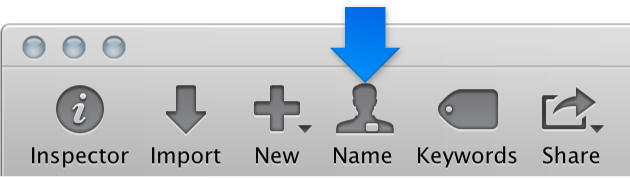 Figure. Name button in the toolbar.