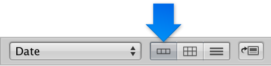 Figure. Filmstrip View button in the Browser.