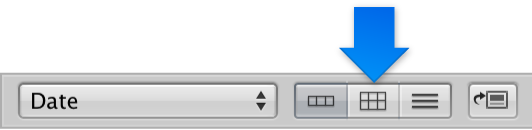 Figure. Grid View button in the Browser.