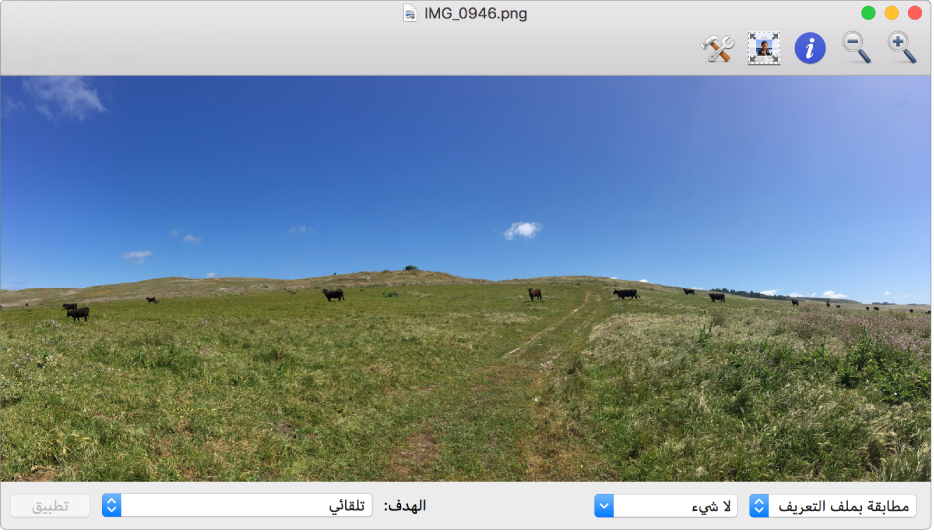 صورة بعض البقر في حقل في نافذة أداة ColorSync المساعدة.