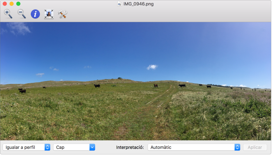 Imatge d’unes vaques pasturant a la finestra de la Utilitat ColorSync.