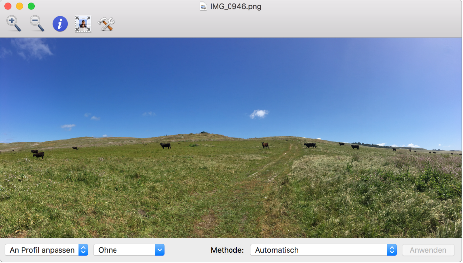 Die Abbildung von Kühen auf einem Feld im Fenster des ColorSync-Dienstprogramms.