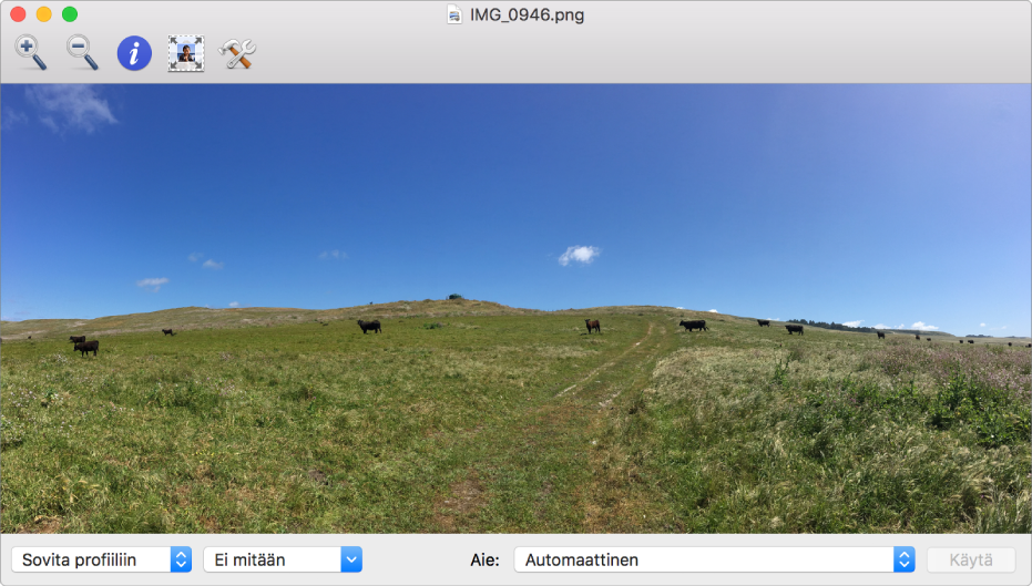 Kuva lehmistä niityllä ColorSync-työkalun ikkunassa.
