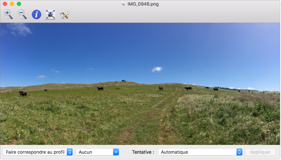 Une image de vaches dans un champ dans la fenêtre Utilitaire ColorSync.