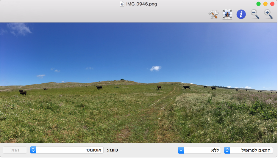 תמונה של פרות בשדה בחלון של ״כלי העזר של ColorSync״.